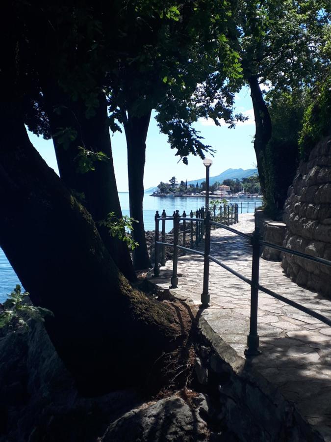 Green Leaf Rijeka Dış mekan fotoğraf